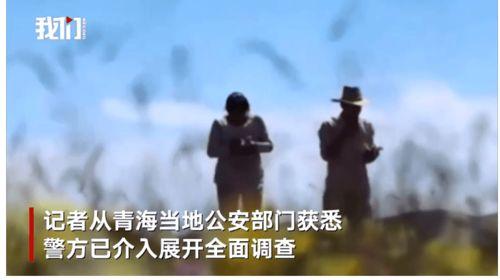 为爱远嫁终成空,一场空幻的婚姻旅程