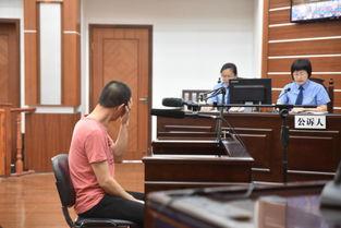 公诉贪官,揭开权力滥用背后的黑暗真相