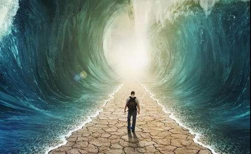 命运的因果,因果循环的人生轨迹