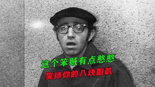 傻瓜入狱记,一场荒诞入狱之旅